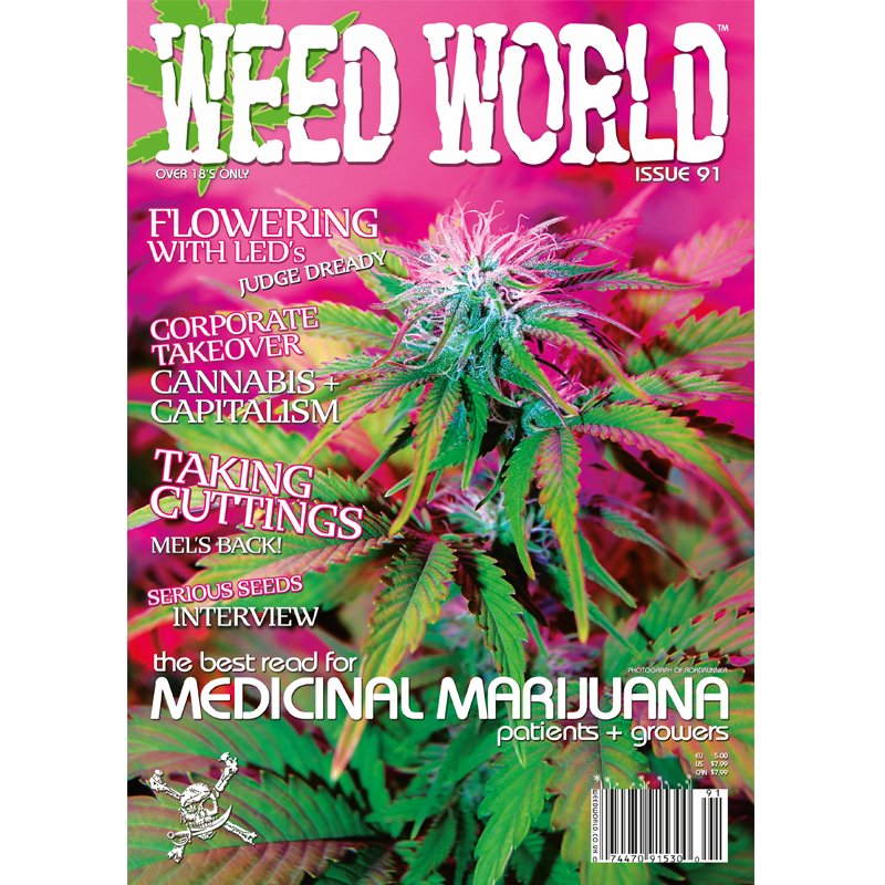 Weed World Magazine Issue 91 - Download