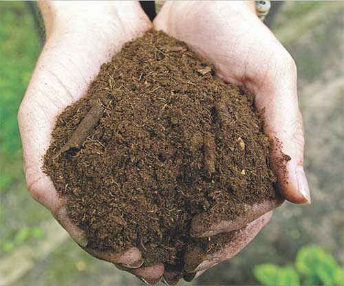 soil soil