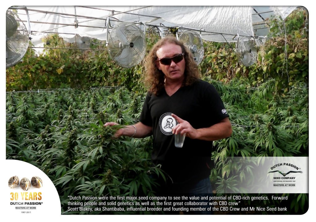 Dutch Passion Seed Company celebrating their 30 year anniversary