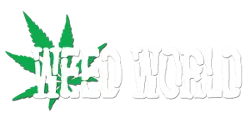 Weed World Magazine