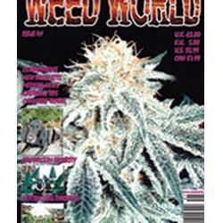 Weed World Magazine Issue 41