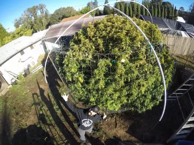 DCIM100GOPROGOPR2325.