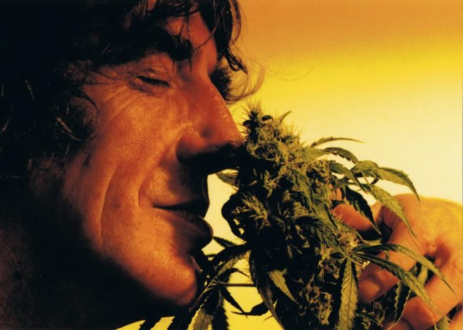Howard Marks strain and person_1174