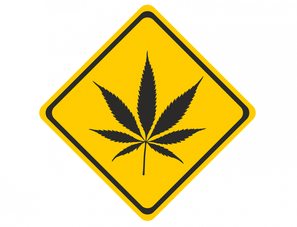 cbd2-1200×918