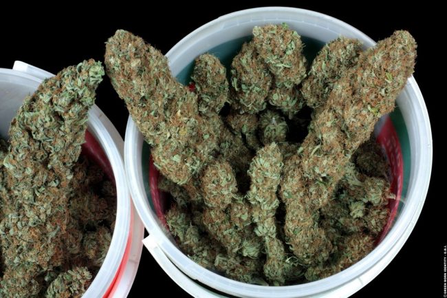 cold-creek-kush_dry07_copyright-by-gbi-2012