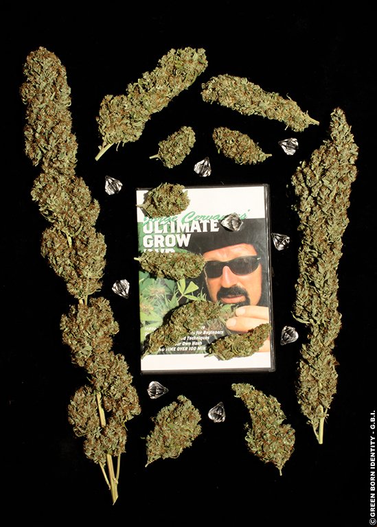 JD#1_dry-collage_coypright_by_GBI-2009