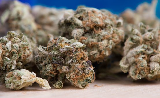 cannabis-2150543__340