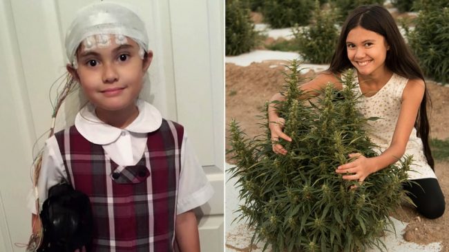 epileptic-girl-could-finally-end-marijuana-prohibition-e730effe-132f-4718-bc56-c0e0dd6cc5fd (1)
