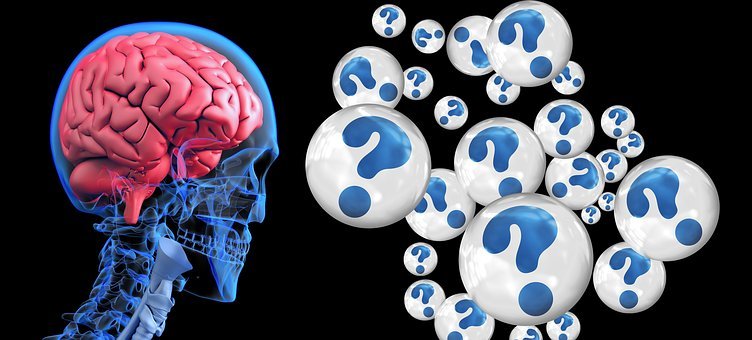 brain-2546101__340