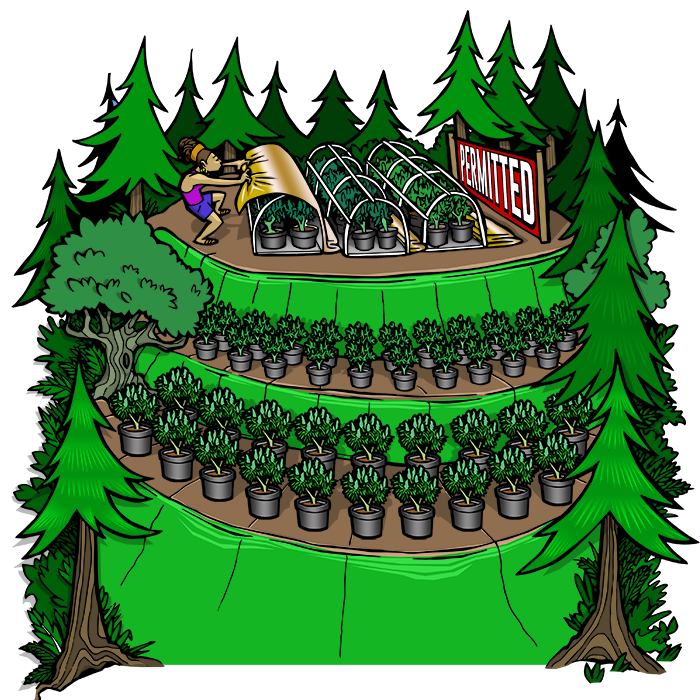 mountain-top-biggest 2