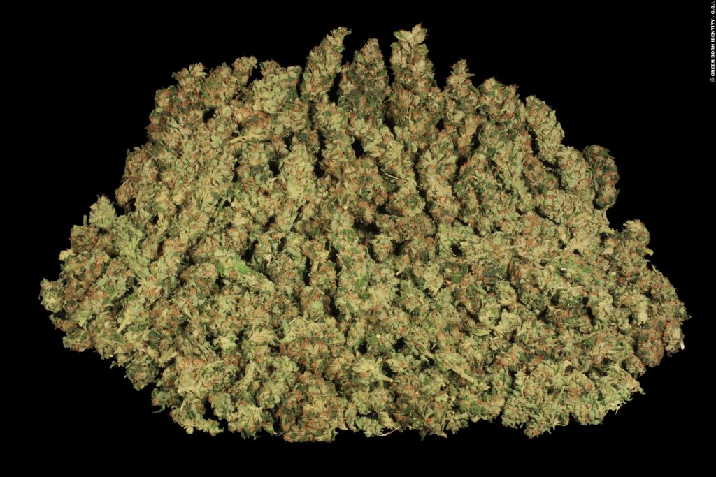 weed world magazine