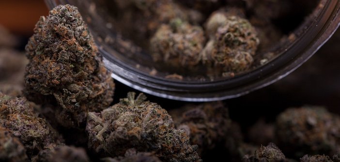 saskatchewan-marijuana