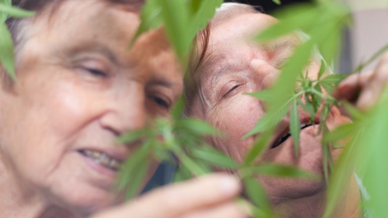 shutterstock_pot-768×432
