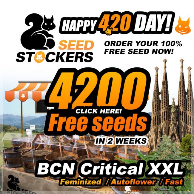 banner-420-day-static-seedstockers-1748×1748