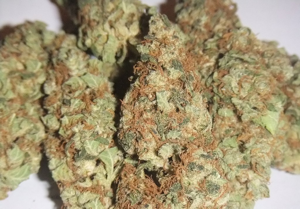 Diesel (3)