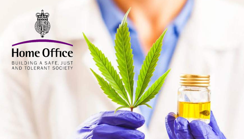 medical-cannabis-home-office-application