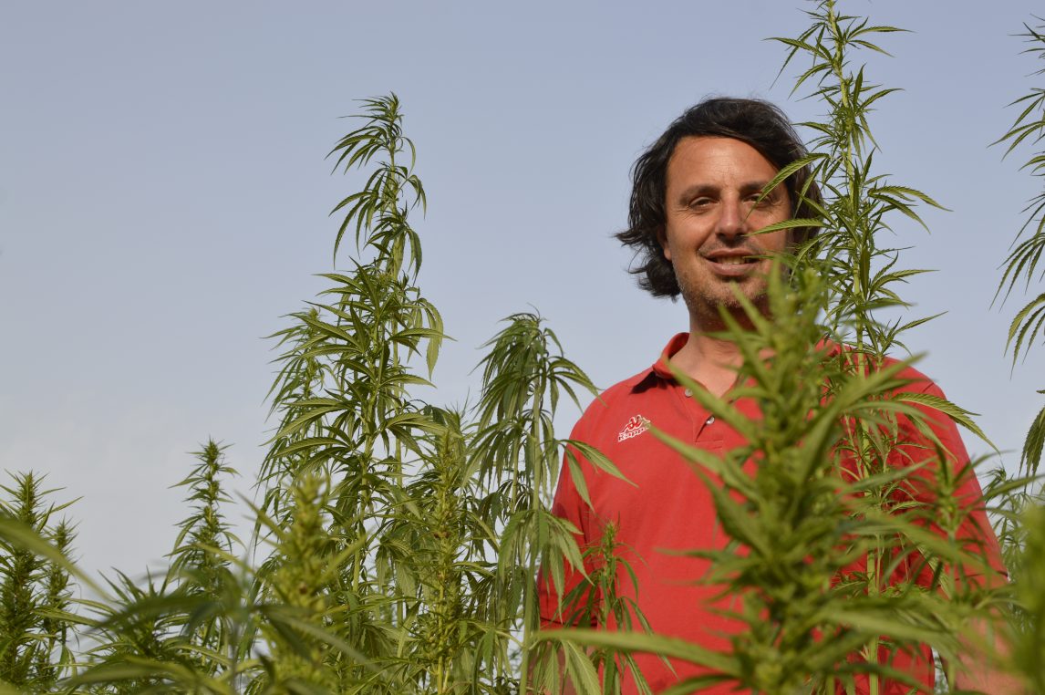 Italian Farmer Vincenzo fornaro stands on a hemp crop planted in hus contaminated soil