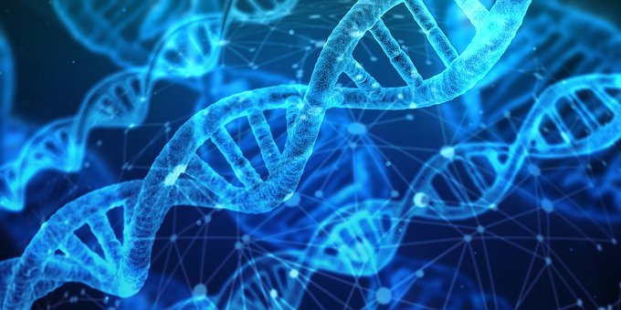 dna-3539309__340