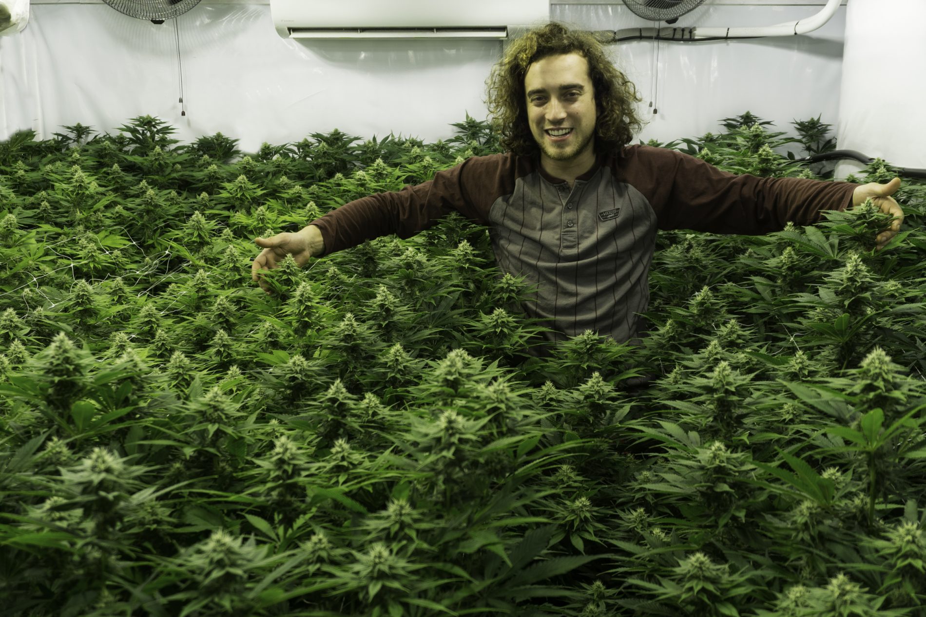 WW – Organics is a way of life