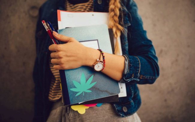 college-courses-cannabis-1-1024×640
