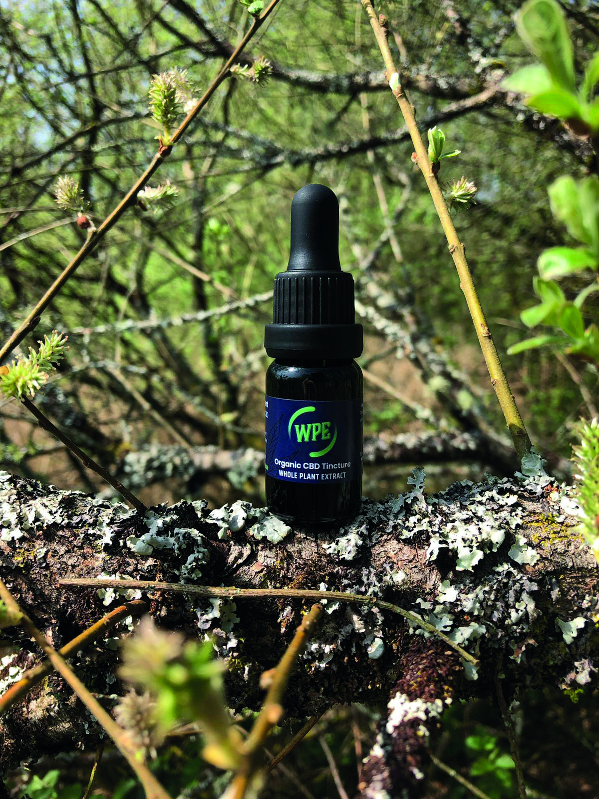 prod_wpe-tincture