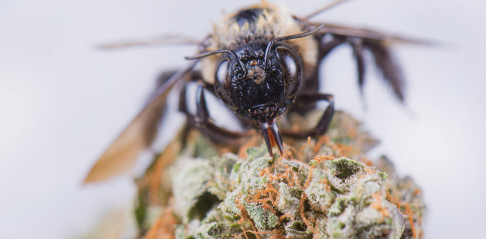 Screenshot 2020-02-25 at 13.45.44