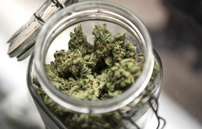 40df9b5e-high-on-cannabis-tax-revenues-696×445