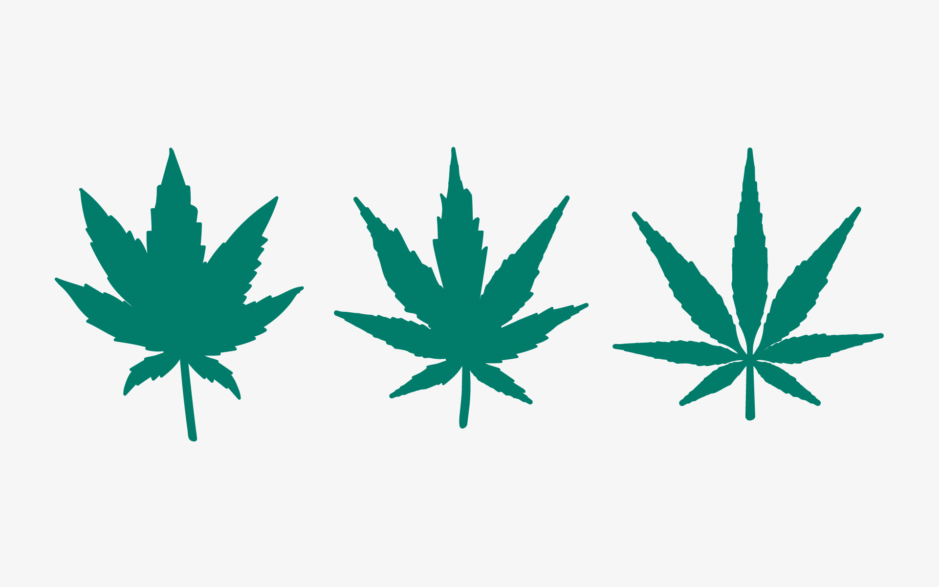 Sativa-Vs-Indica_Illustration_top