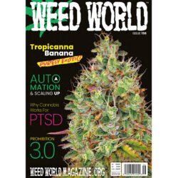 Weed World magazine issue 156
