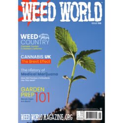 Weed World magazine issue 158