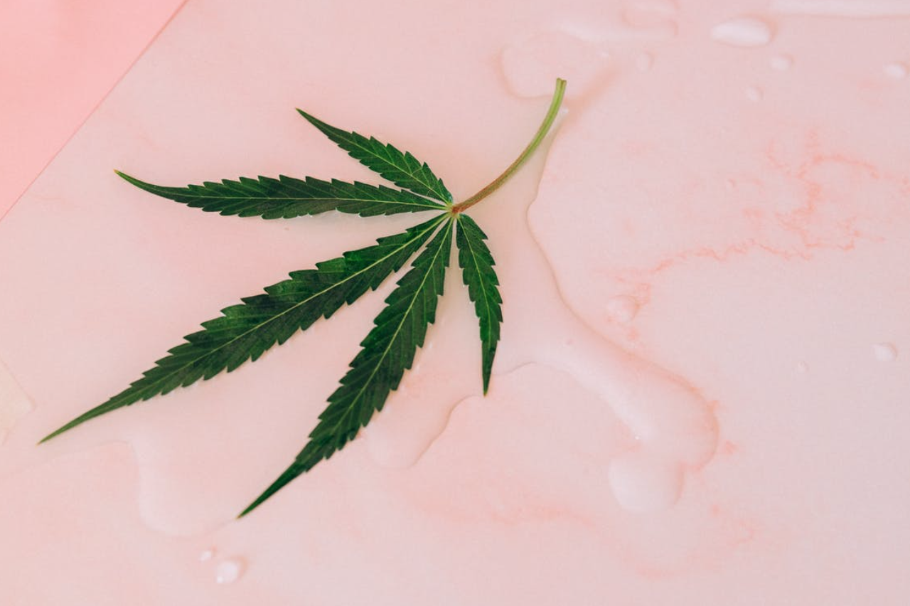 weedworld-cannabis-leaf