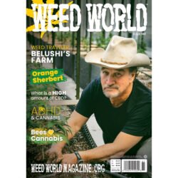 Latest Issue Weed World