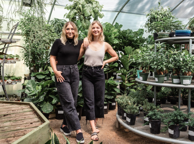 The Torabi Sisters