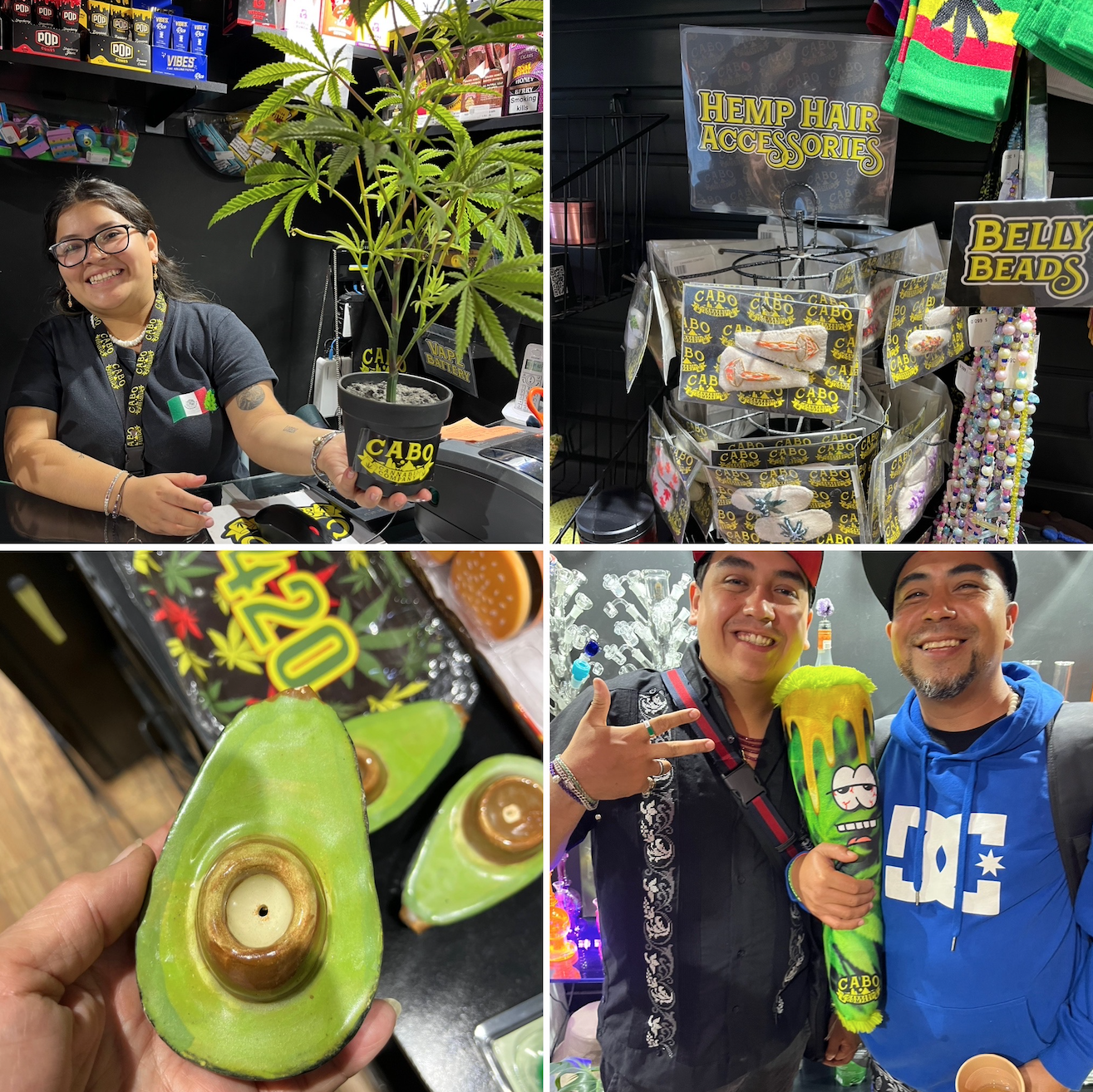 The Weed Traveler: Cabo San Lucas, Mexico - A little green at the tip of  Baja California Sur, By Sharon Letts