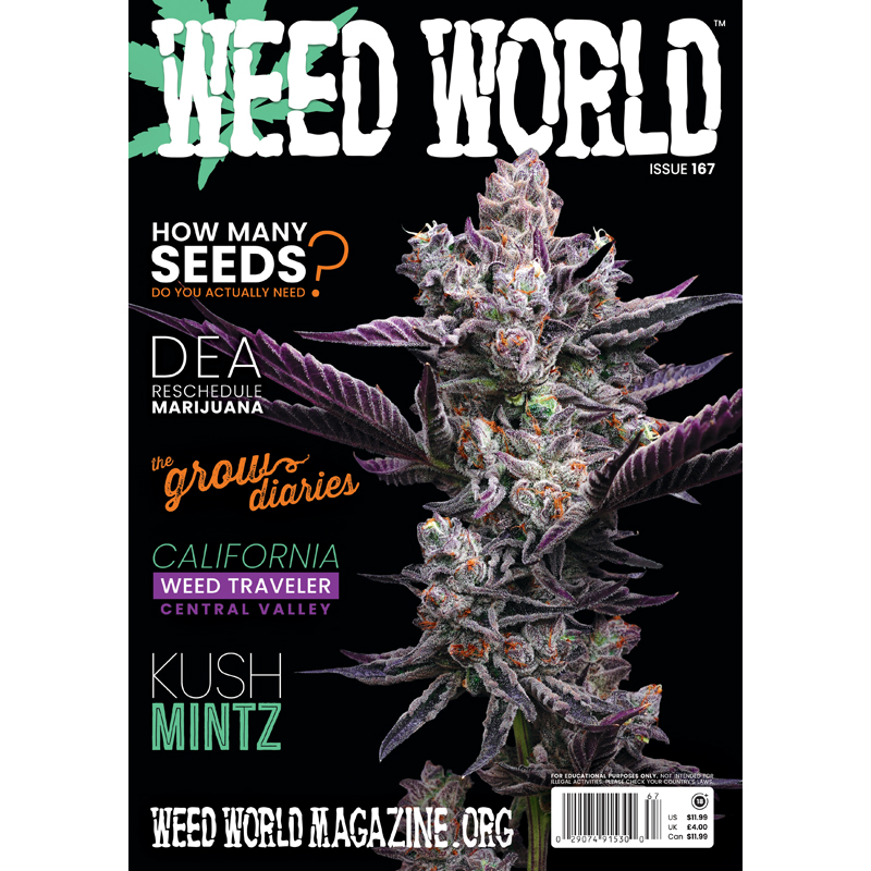 Weed World magazine issue 167- Download