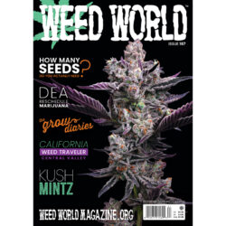 Weed World Magazine Issue 167