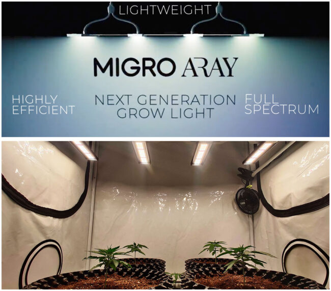 Migro-aray-4