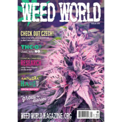 Weed World Magazine issue 171