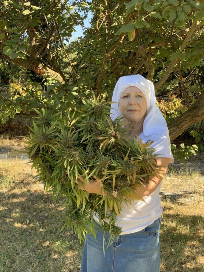 Sister Kate California
