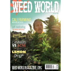 Weed World Magazine issue 175