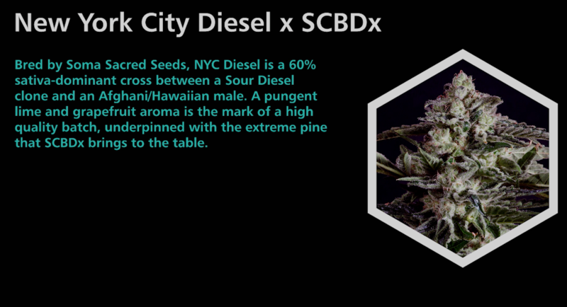 New York City Diesel X SCBDx - SuperCBDx