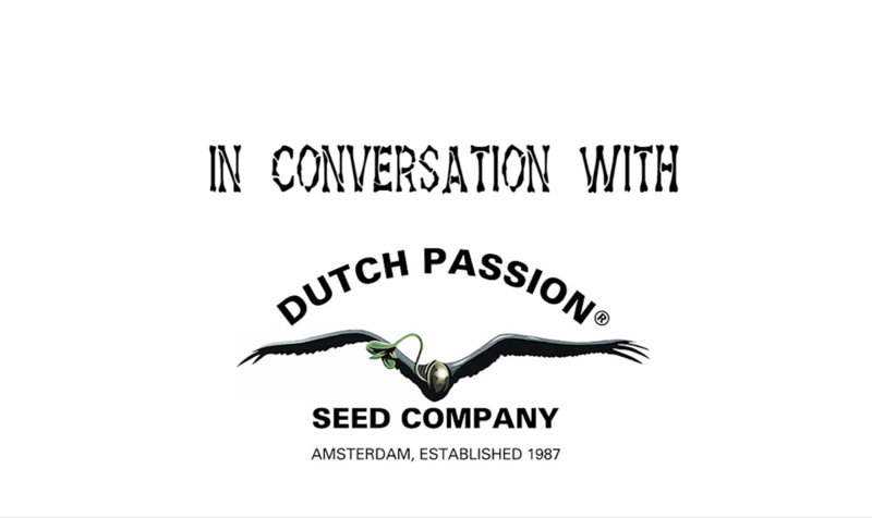 Interview with Dutch Passion 