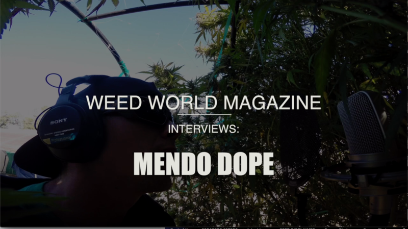 Official interview with Mendo Dope