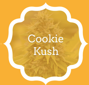 Cookie Kush - KCS