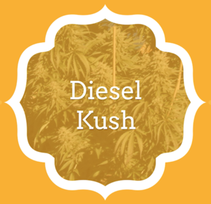 Diesel Kush - KCS