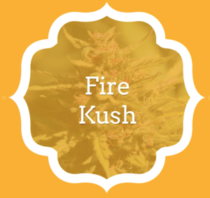 Fire Kush - KCS