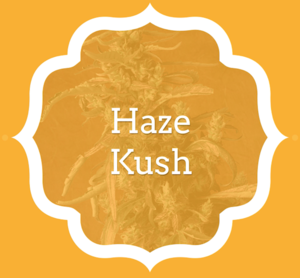 Haze Kush - KCS