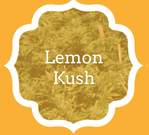 Lemon Kush - KCS