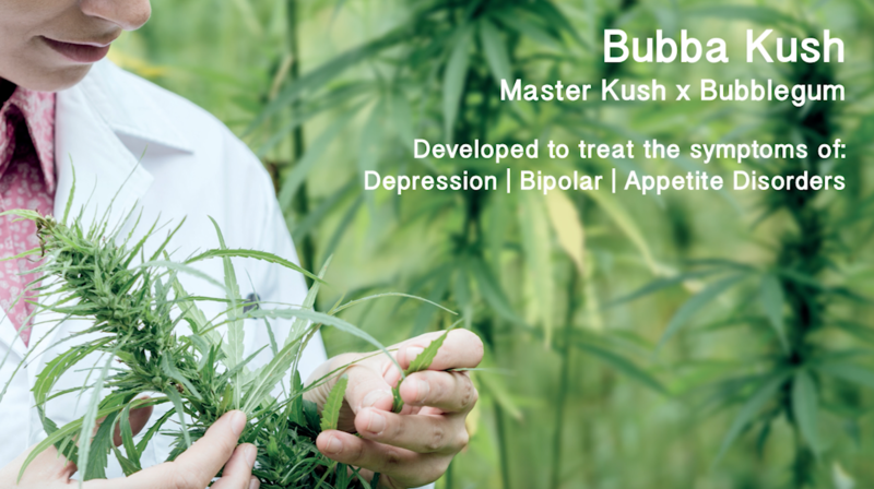 Medicann Bubba Kush